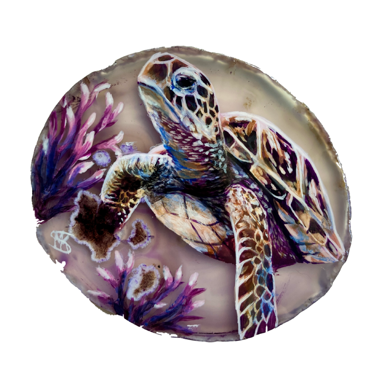 Schildpad agaat paars