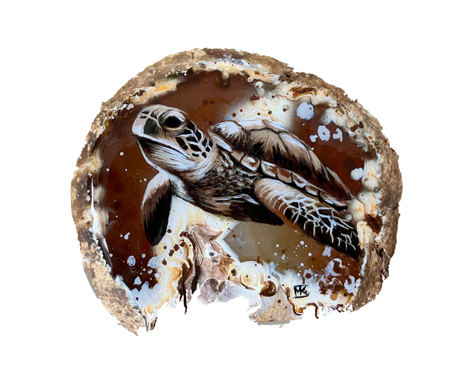 Schildpad bruin agaat