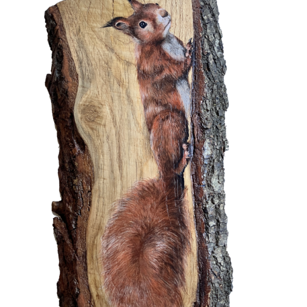 Eekhoorn plank