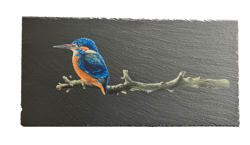IJsvogel lei