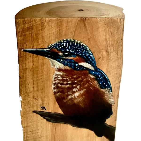 IJsvogel stam