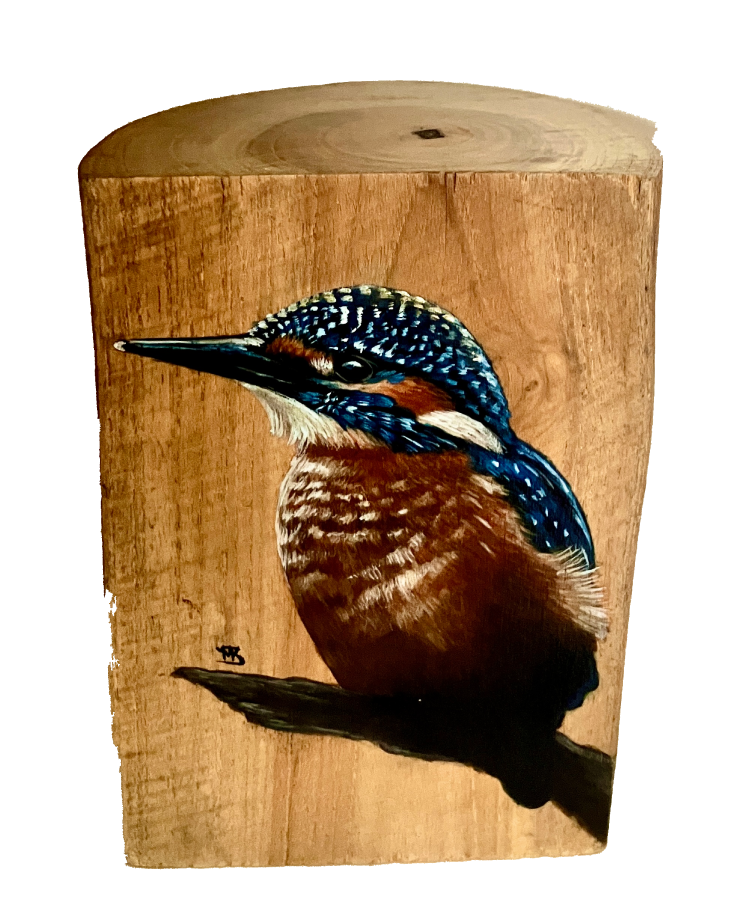 IJsvogel stam