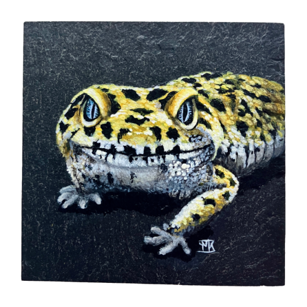 Luipaardgekko