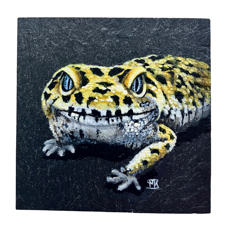 Luipaardgekko