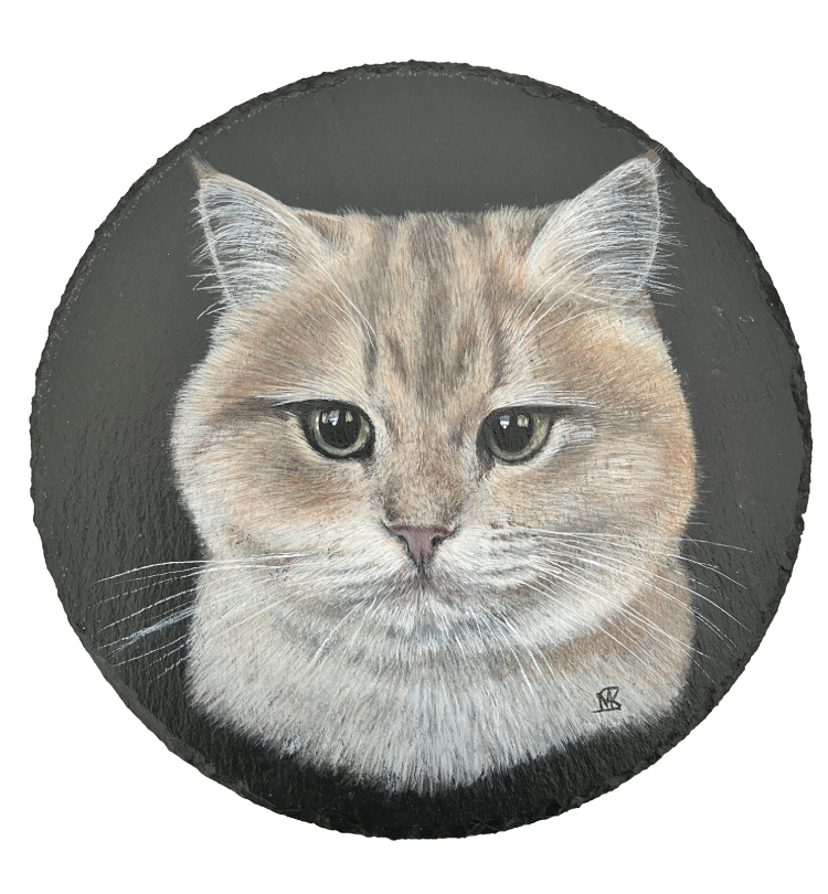 Portret kat