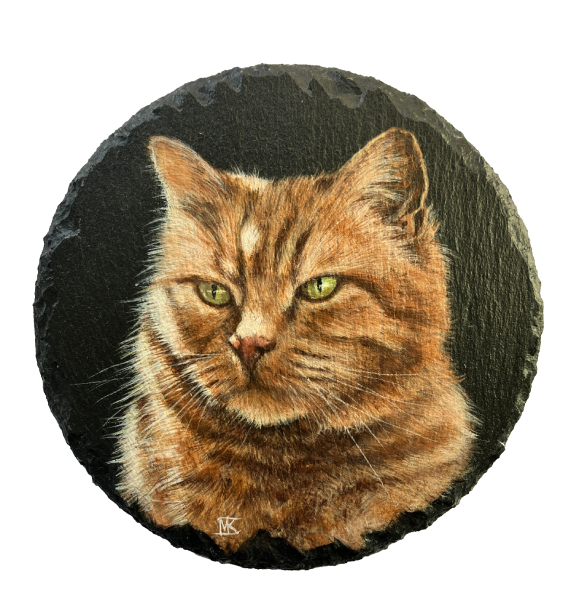 Kater