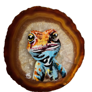 Gekko agaat verkocht