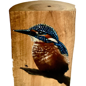IJsvogel stam