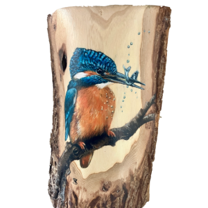 IJsvogel stam verkocht