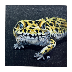 Luipaardgekko