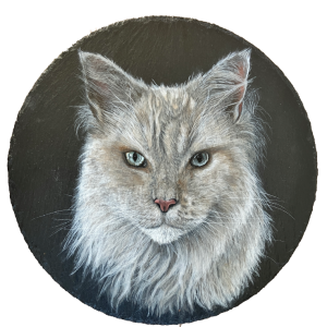 Maine coon