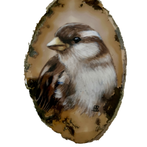 Musje agaat verkocht