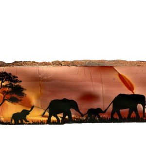 Olifanten jaspis verkocht