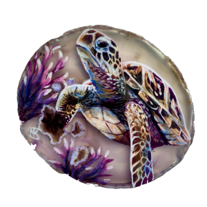 Schildpad agaat paars