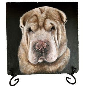 Sharpei